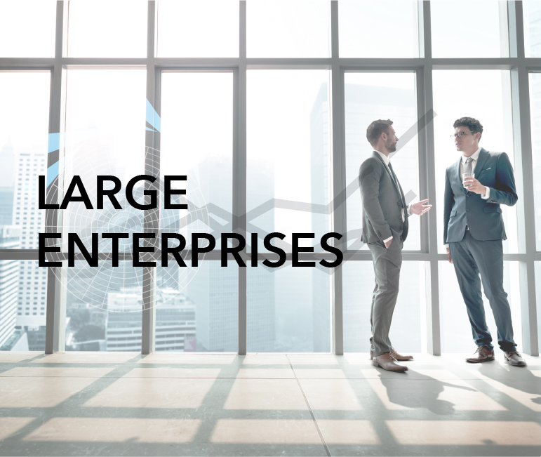 Services for large enterprises Zain business